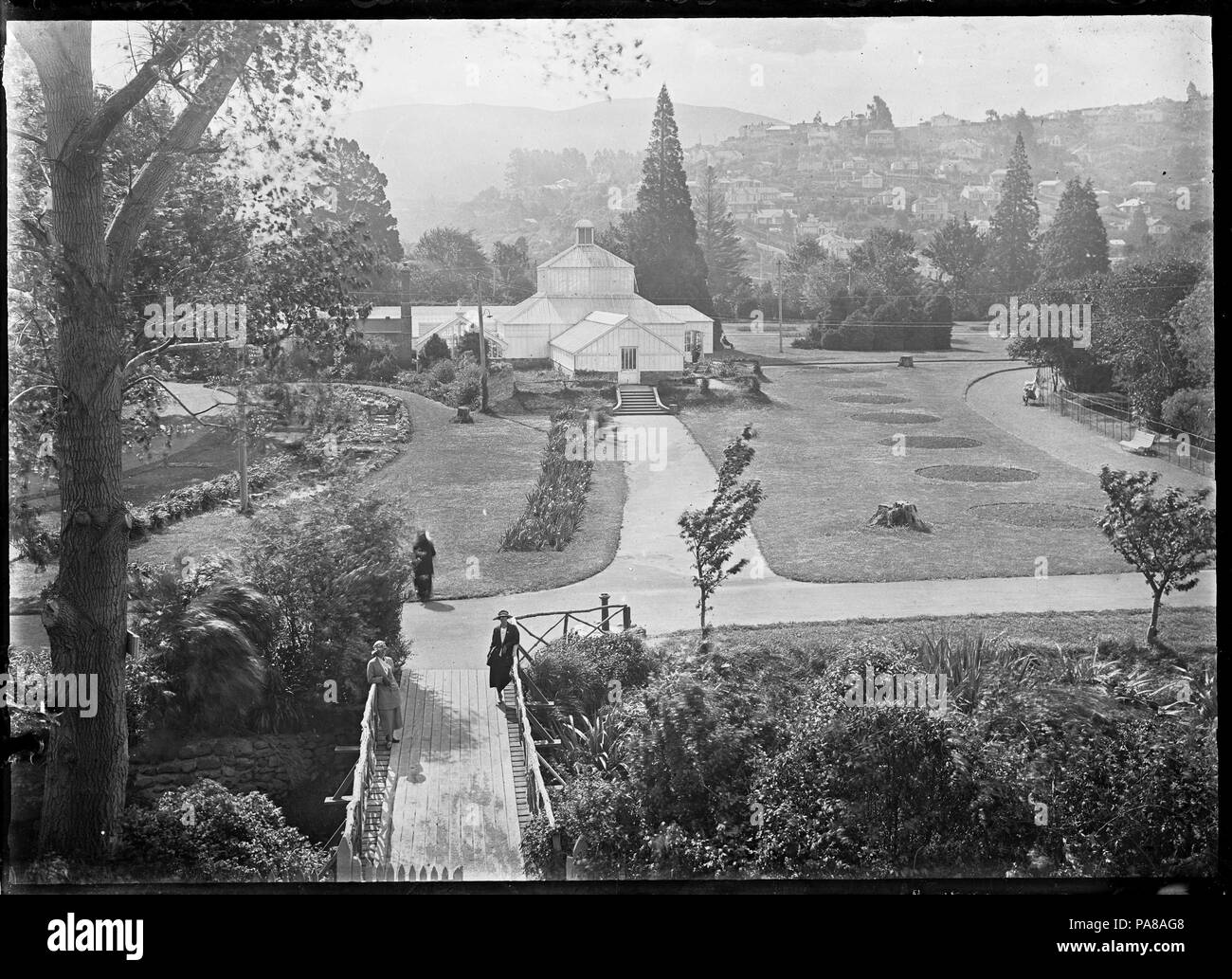Dunedin botanical gardens hires stock photography and images Alamy