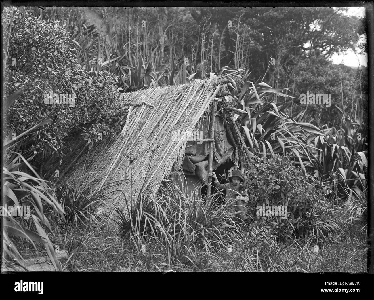 43 Bush shanty near Wekatahi. ATLIB 119936 Stock Photo