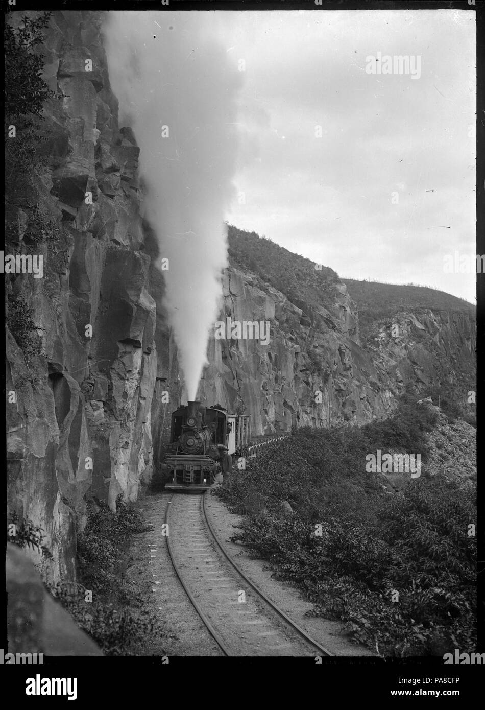 53 Climax steam locomotive, number 1650, hauling empty logging wagons near Ongarue ATLIB 292613 Stock Photo