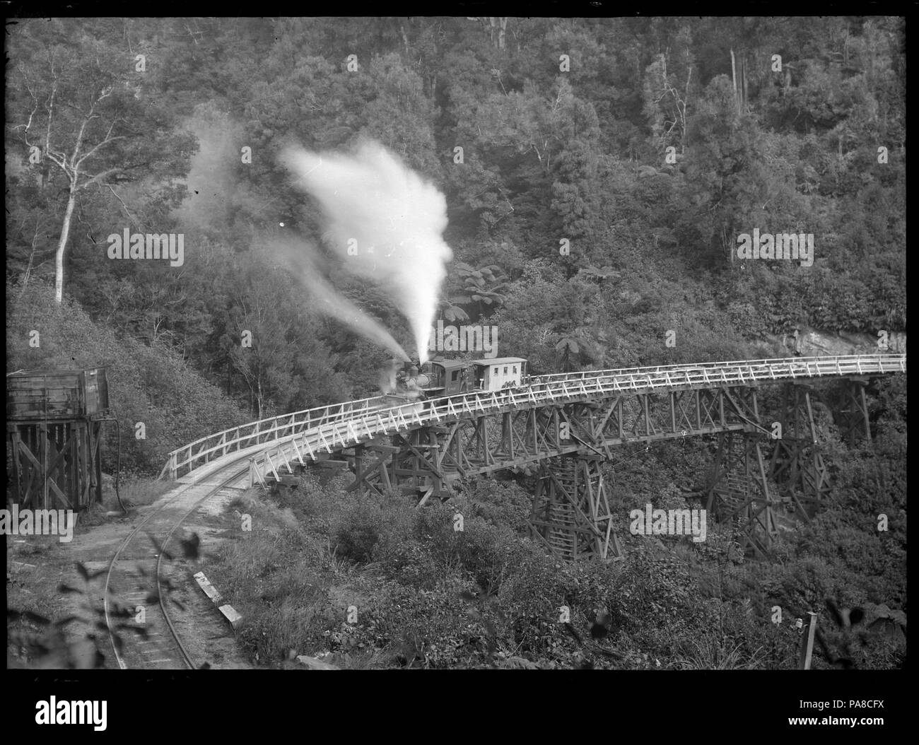 53 Climax steam locomotive, number 1650, hauling empty logging wagons on a railway viaduct near Ongarue ATLIB 292950 Stock Photo