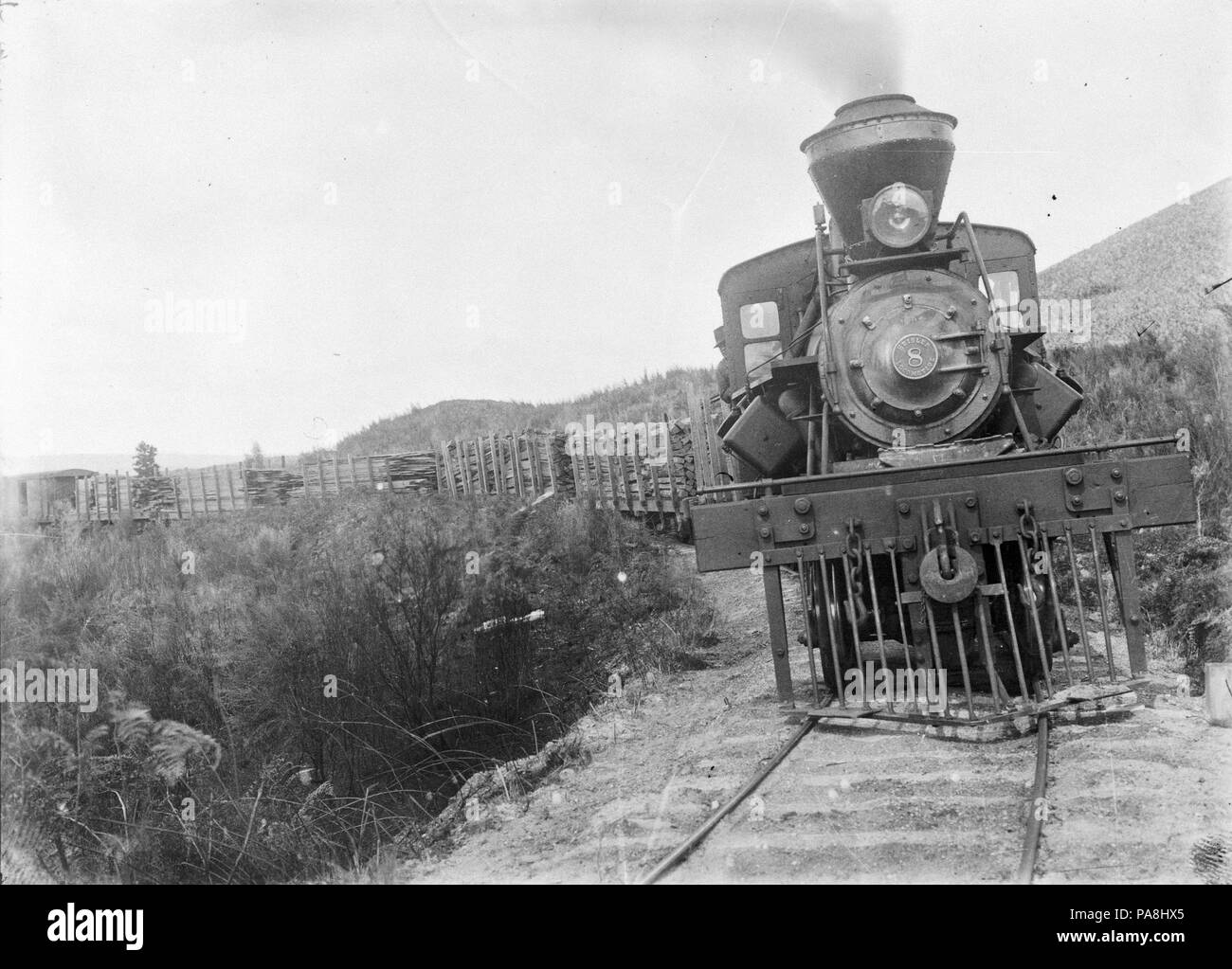 112 Heisler locomotive number 8, of the Taupo Totara Timber Company ATLIB 293640 Stock Photo