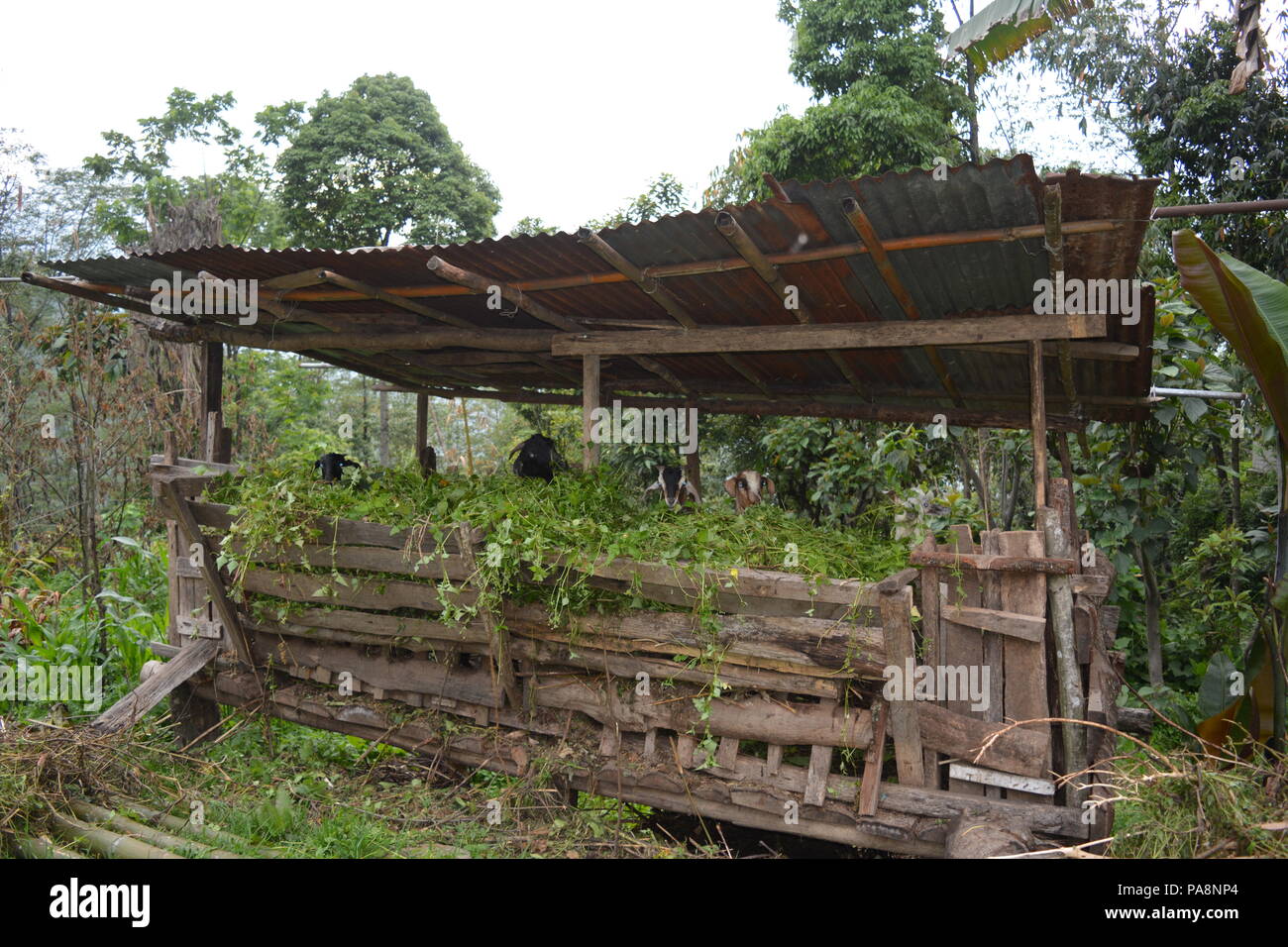 Pelling, West Sikkim, India. Travel photo. Stock Photo