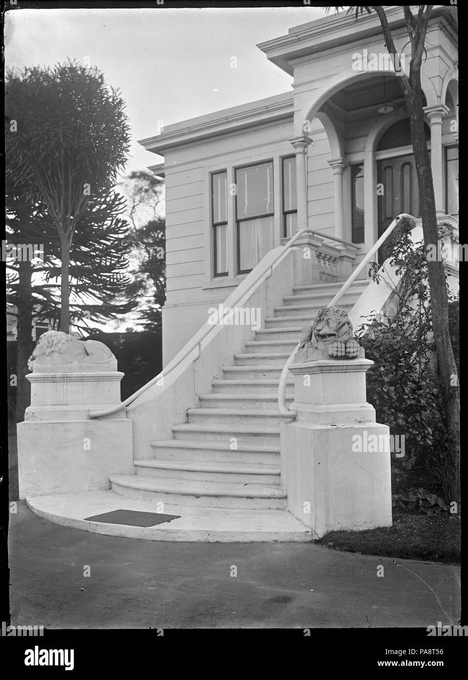106 Grand entrance stairway leading to a front door, flanked with two lions on plinths, at a private house in Dunedin. ATLIB 289944 Stock Photo