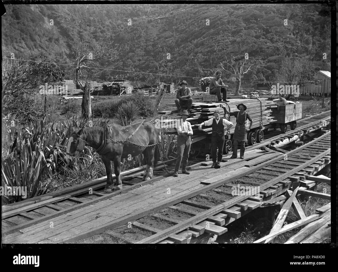 115 Horse-drawn wagon carrying sawn timber, on the railway track of the  Piha to Karekare tramway. ATLIB 278470 Stock Photo - Alamy