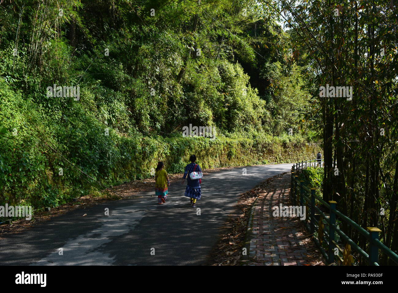 Pelling, West Sikkim, India. Travel photo. Stock Photo