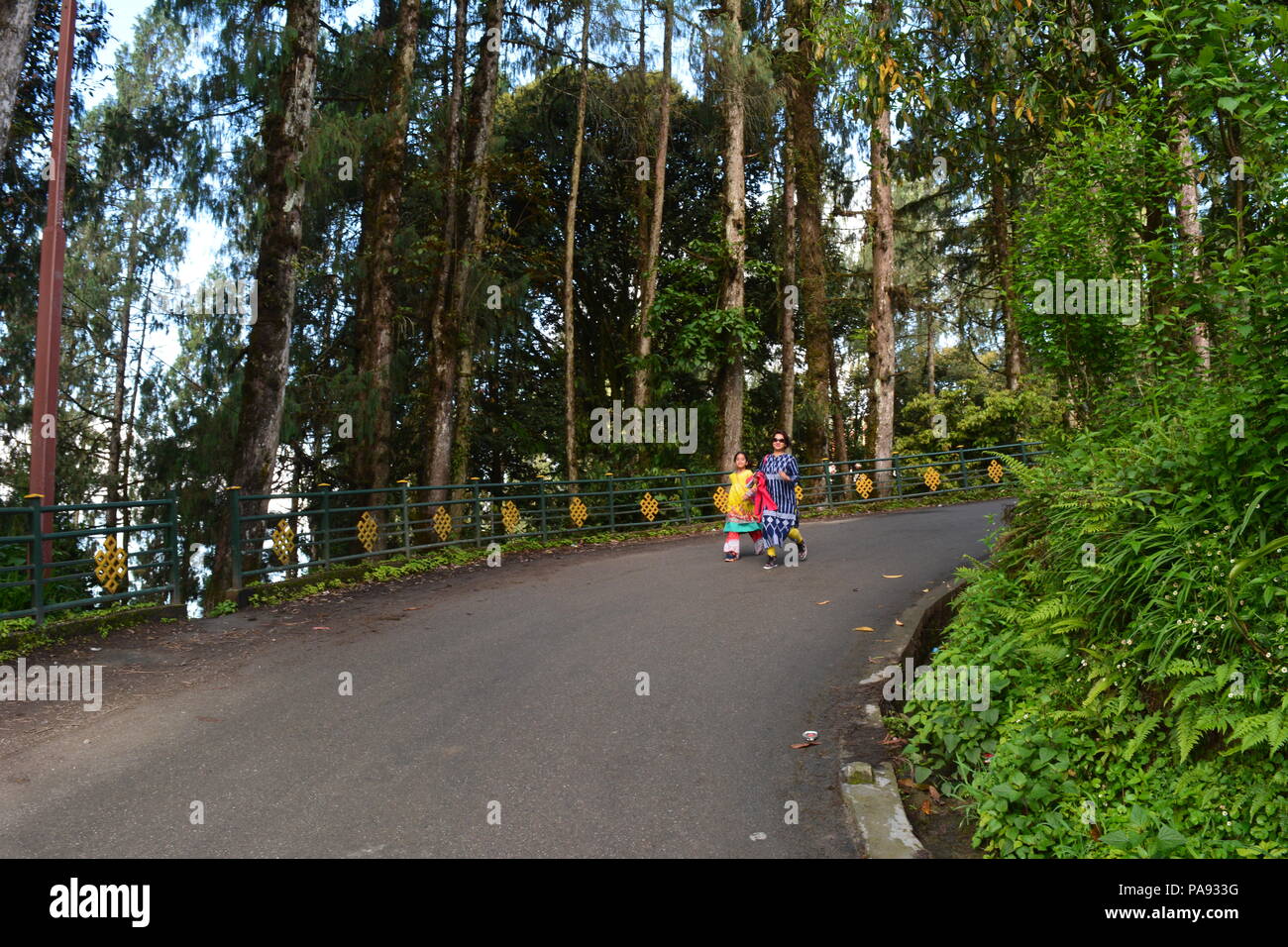 Pelling, West Sikkim, India. Travel photo. Stock Photo