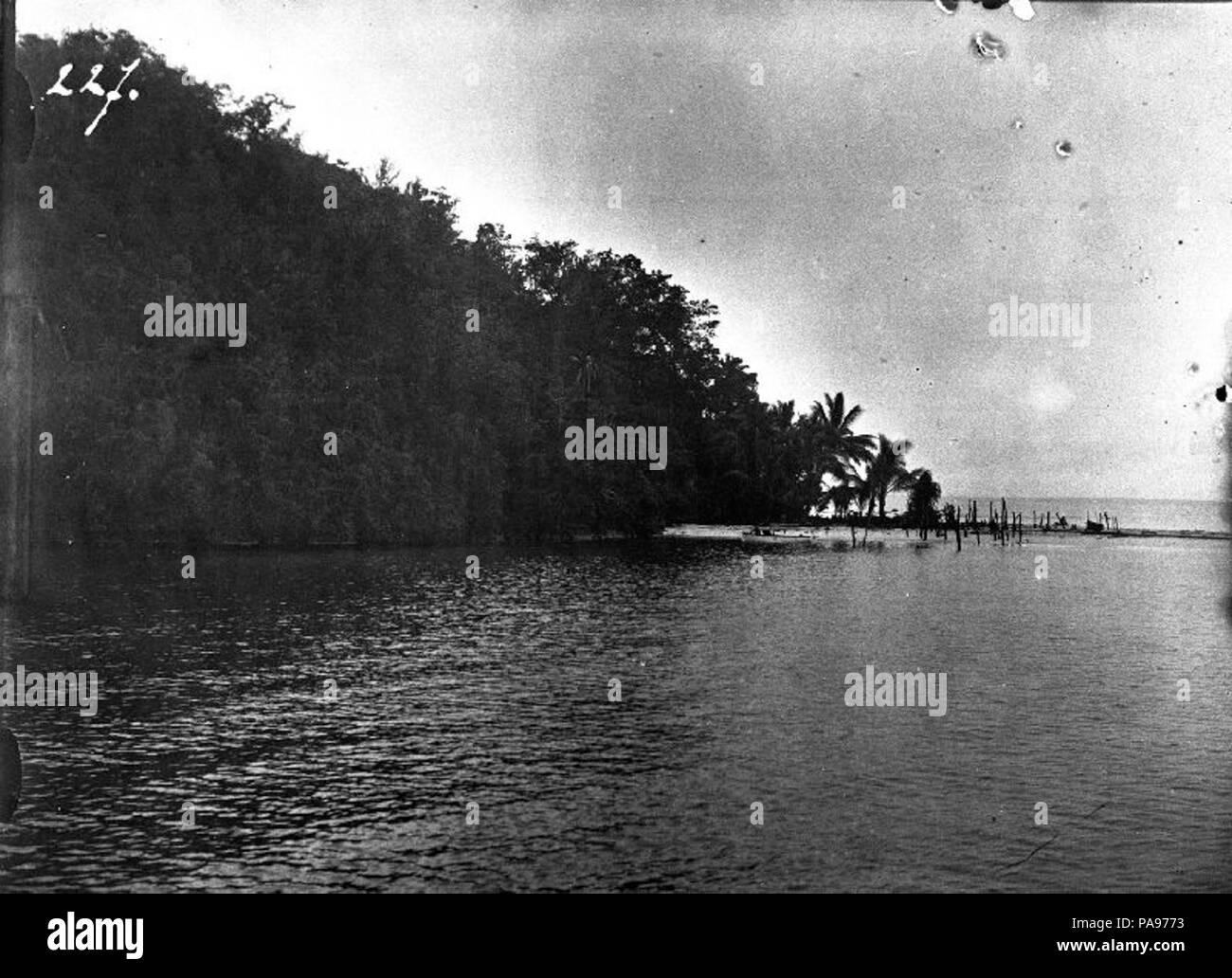 150 Kustlandschap in de omgeving van de Geelvink-baai, Nieuw Guinea, ... - Collectie stichting Nationaal Museum van Wereldculturen - TM-60012036 Stock Photo