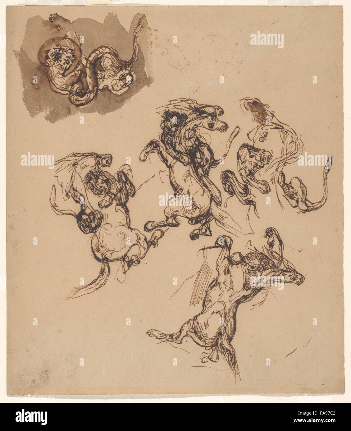 Studies of a Rearing Horse Attacked by a Lion; A Lion Wrestling with a Serpent. Artist: Eugène Delacroix (French, Charenton-Saint-Maurice 1798-1863 Paris). Dimensions: sheet: 6 1/4 x 5 3/8 in. (13.6 x 15.9 cm). Date: 1820-63. Museum: Metropolitan Museum of Art, New York, USA. Stock Photo