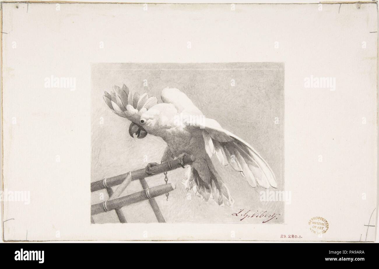 The Angry Parrot. Artist: Jean-Georges Vibert (French, Paris 1840-1902 Paris). Dimensions: 5 3/16 x 8 3/16 in.  (13.2 x 20.8 cm). Date: n.d.. Museum: Metropolitan Museum of Art, New York, USA. Stock Photo