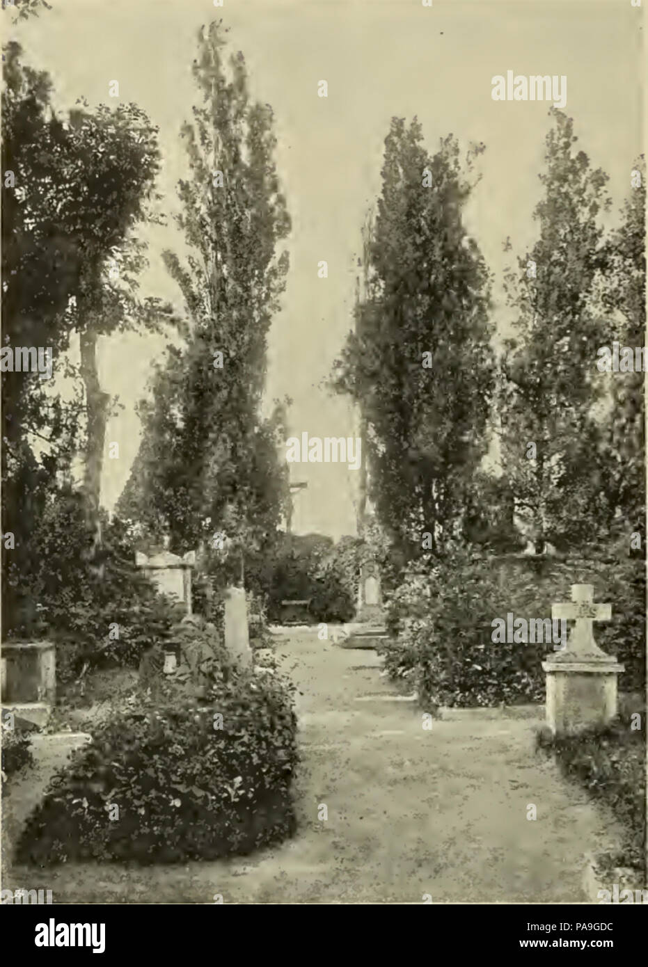 224 S 364 Abb 370 Partie aus dem Döblinger Friedhofe Stock Photo