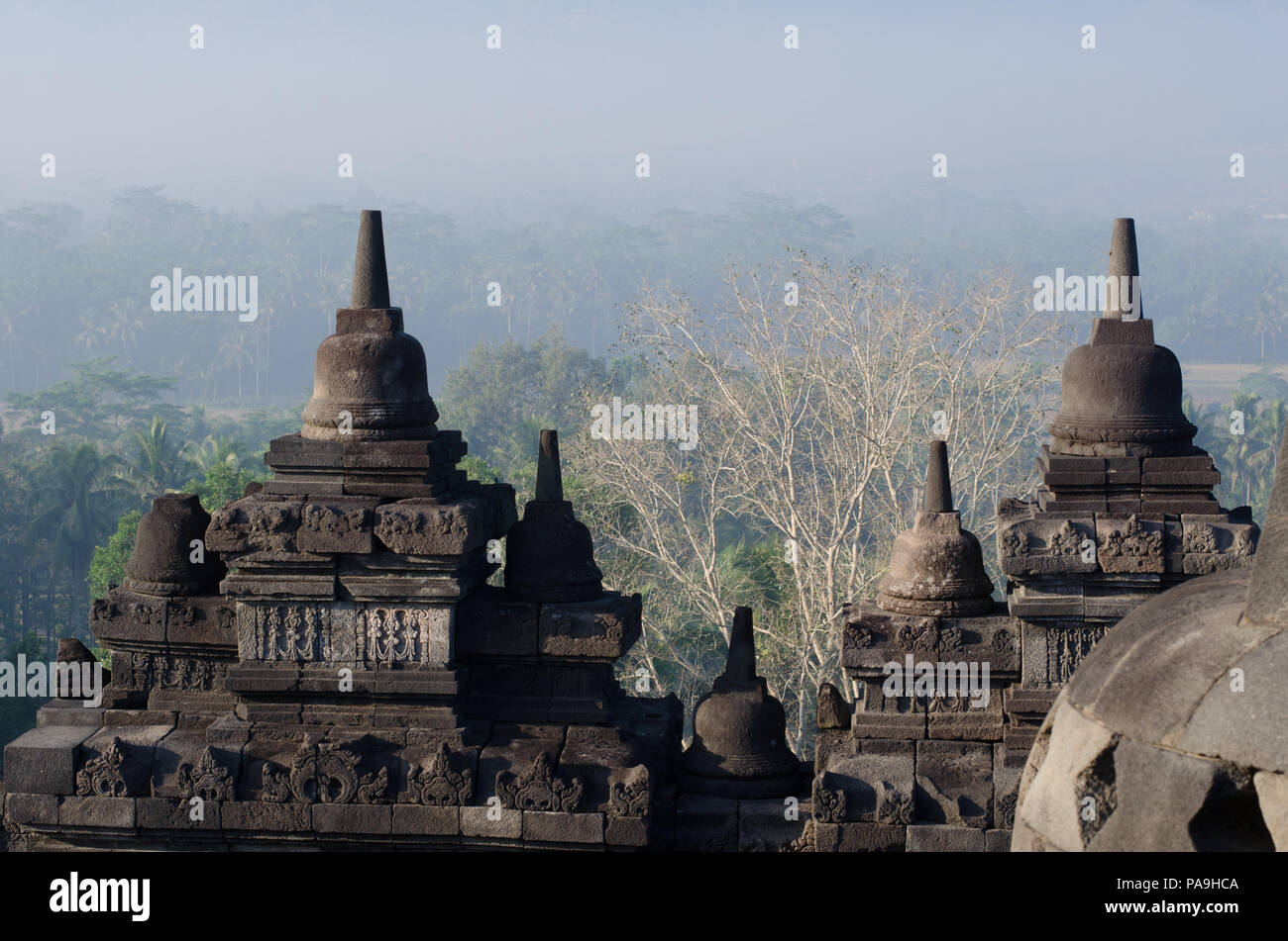 Borobudur temple and bell-enshrined Buddhas looking over the jungle and ...