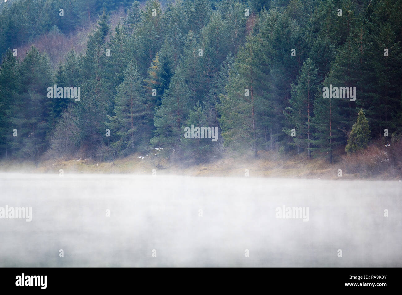 National park Tara lake Zaovine Stock Photo Alamy