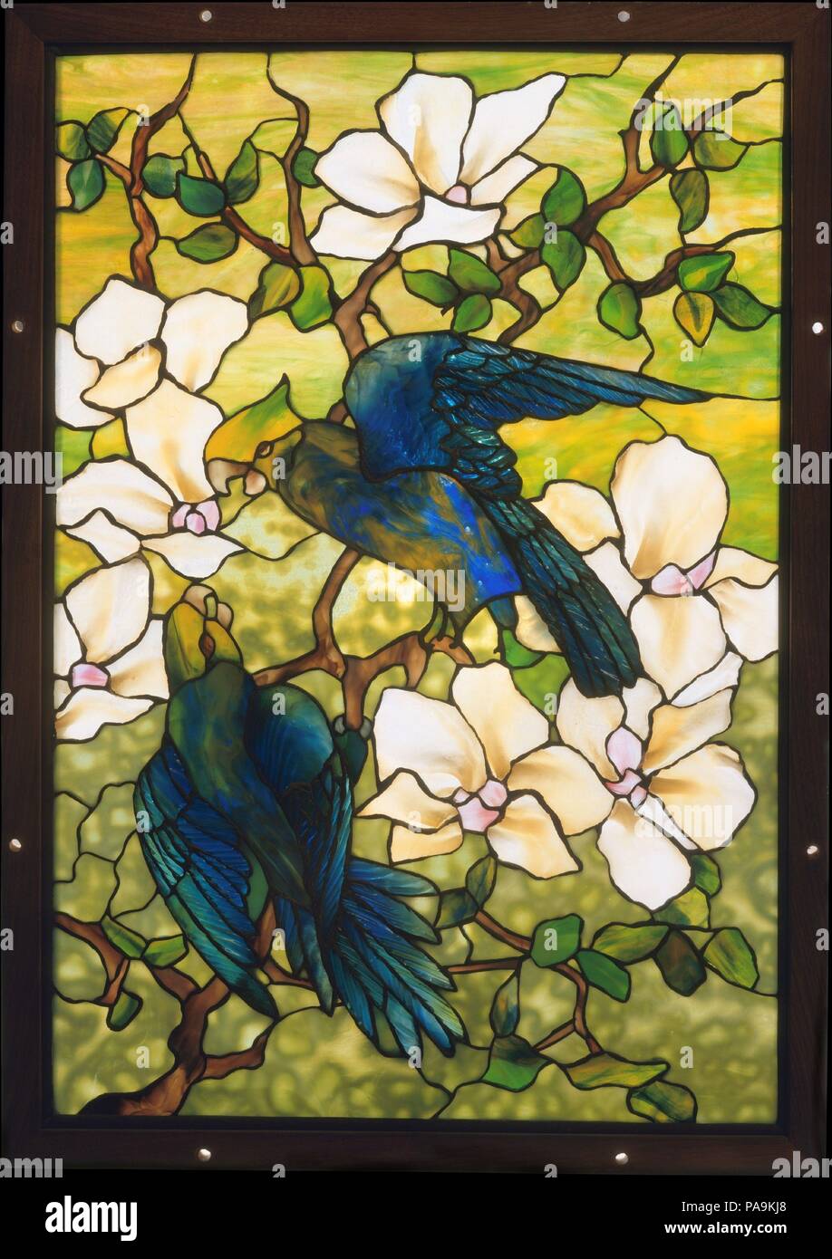 Hibiscus and Parrots. Culture: American. Designer: Designed by Louis Comfort Tiffany (American, New York 1848-1933 New York). Dimensions: 26 x 17 3/4 in. (66 x 45.1 cm). Maker: Tiffany Studios (1902-32). Date: ca. 1910-20.  This vibrant window of hibiscus and parrots reveals Tiffany's brilliant use of color and texture. Shading within the glass creates form for the birds' heads, and the mixed blues and greens produce their dramatic plumage, with the tail feathers given greater realism through the texture of the glass. Tiffany's distinctive mottled glass gives the impression of sunlight filtere Stock Photo