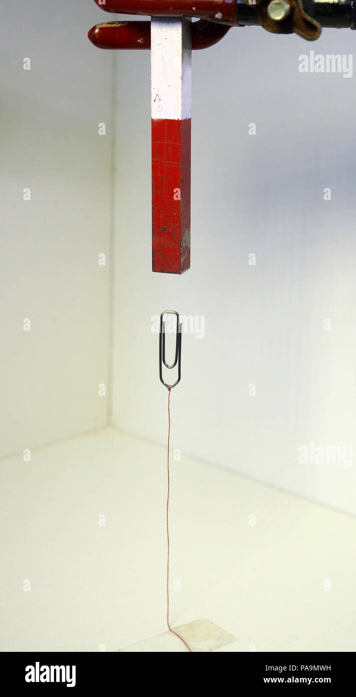 A paperclip attacked to a table with a red string hovers under a magnet., Stock Photo