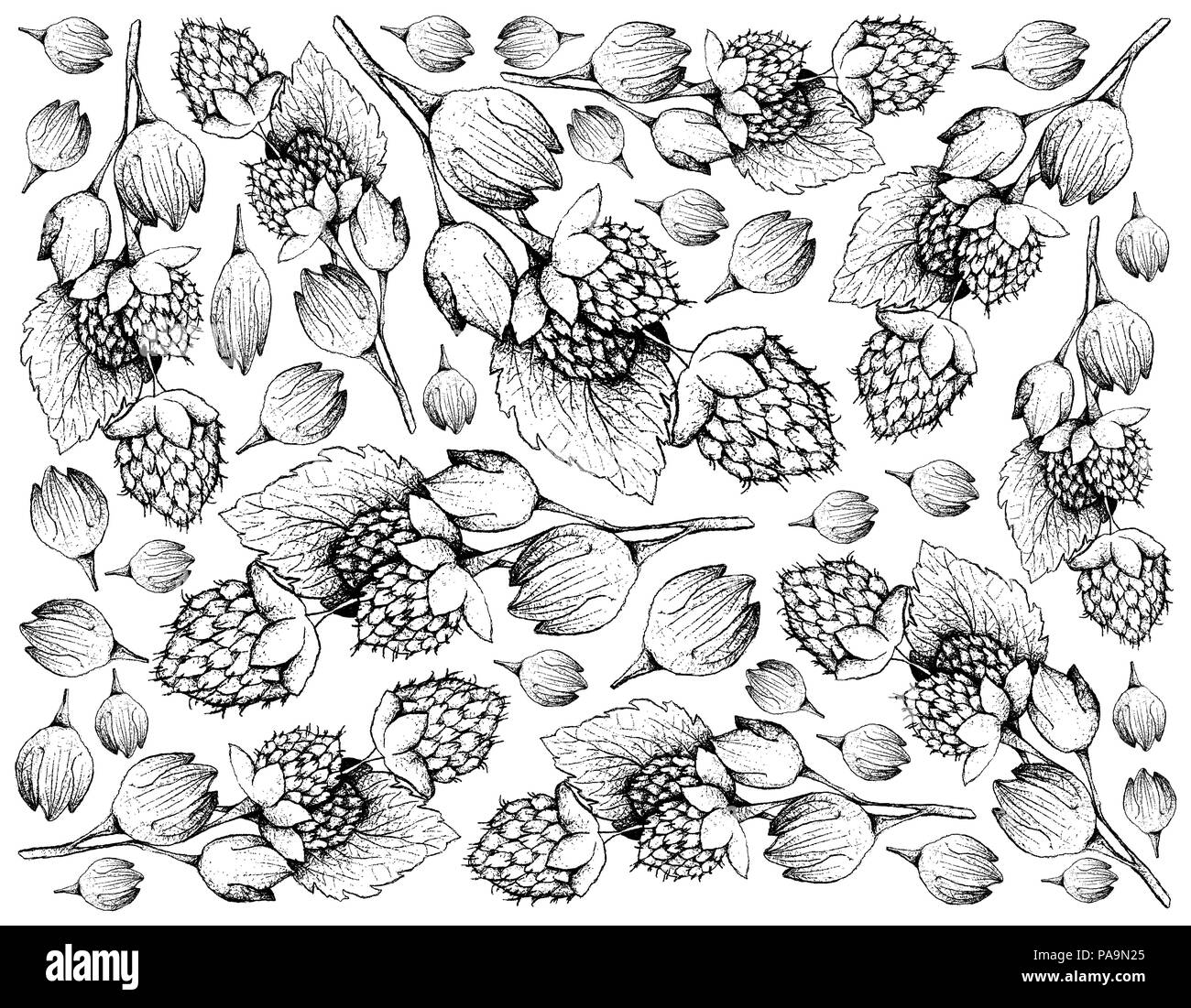 Berry Fruits, Illustration Wallpaper of Hand Drawn Sketch Delicious ...