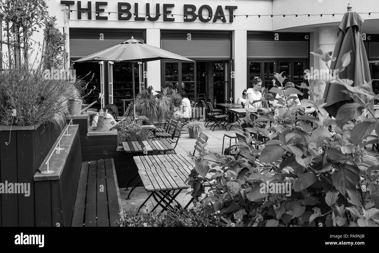 Chiswick. Greater London. The Public House, 'The Blue Boat'  Fulham Reach RC. Sunday.  24.07.2016 © Peter SPURRIER Stock Photo