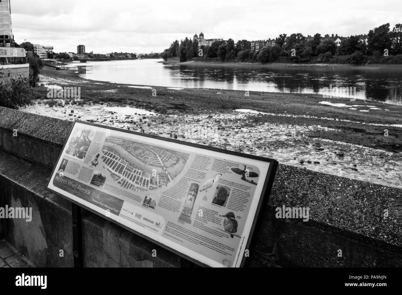 Hammersmith, Greater London, looking over Fulham Reach towards,  Harrods Depository  [AKA 'Harrods Village'. William Hunt Mansions,]  Pictorial information plaque, of Riverside Birdlife, Chiswick Mall and embankment  Leading from Chiswick to Fulham Reach RC. Sunday.  24.07.2016 © Peter SPURRIER Stock Photo