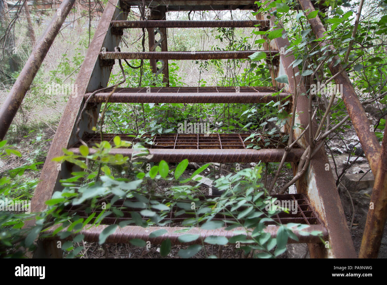 Steps inside the abandoned former Union Carbide industrial complex, Bhopal, India Stock Photo