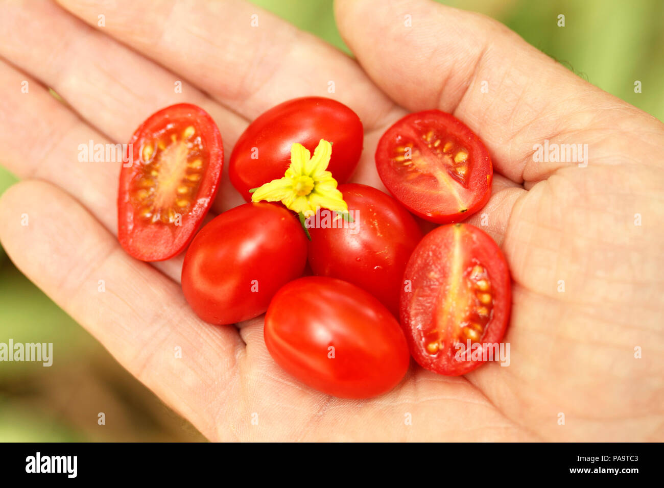 Lycopene hires stock photography and images Alamy