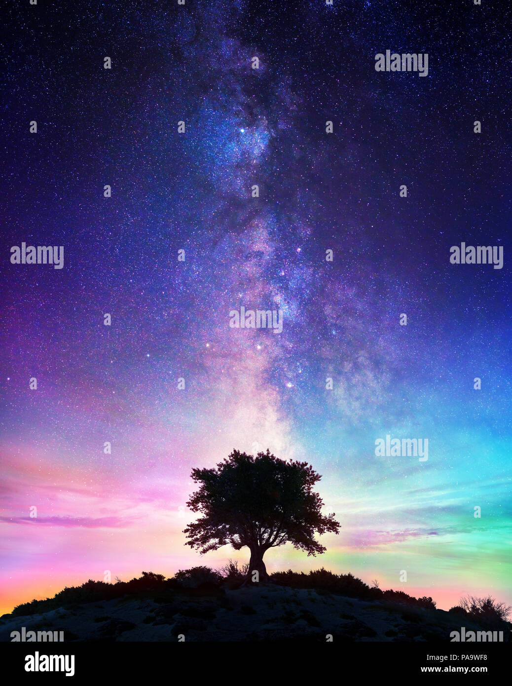 Starry Night - Lonely Tree With Milky Way Stock Photo - Alamy