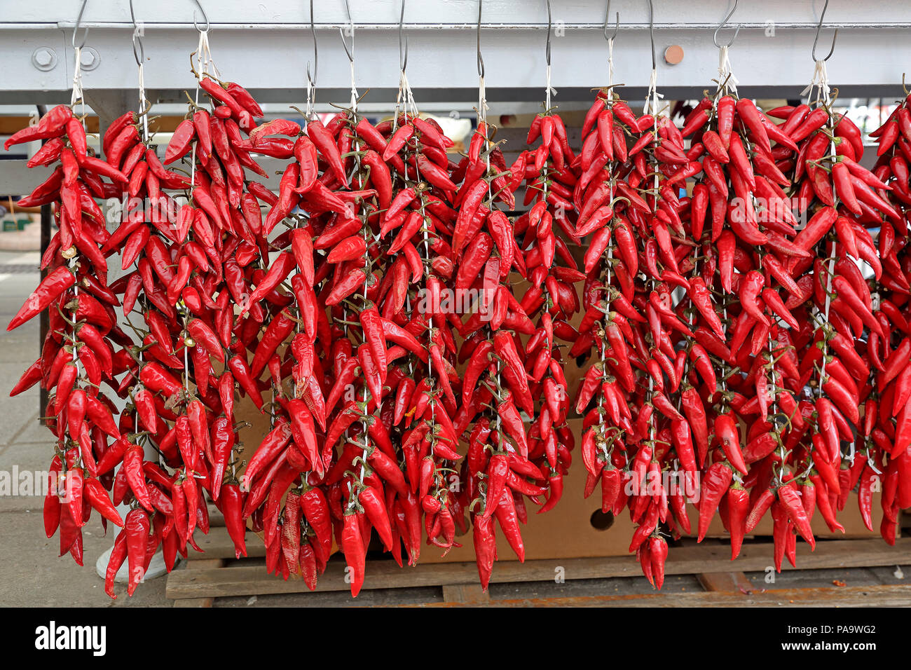 Red Hot Chili Peppers hanging at strings Stock Photo - Alamy