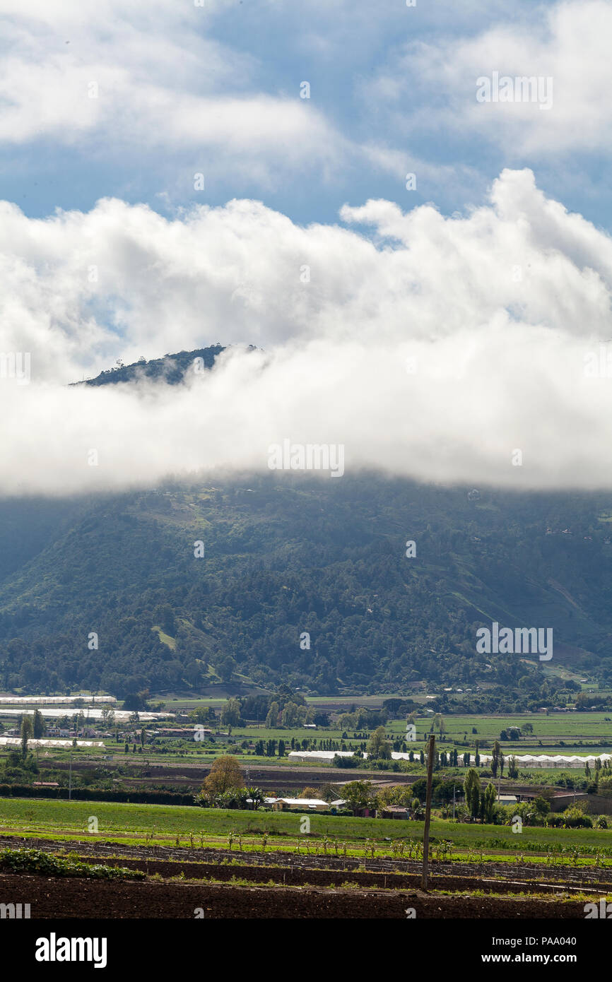 Valley of constanza Dominican Republic Stock Photo