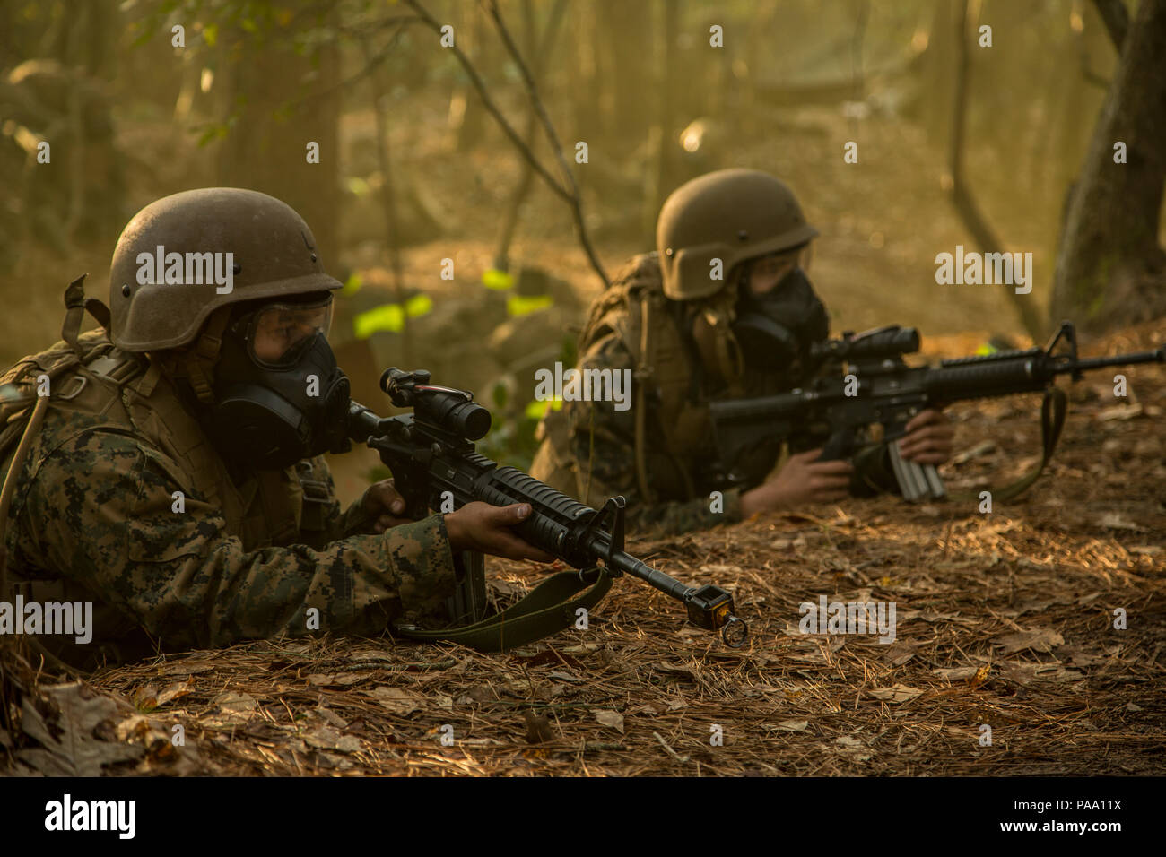 U.S. Navy Corpsmen assigned to Field Medical Training Battalion East (FMTB-E) East, provide security during a final exercise (FINEX) at Camp Johnson, N.C., March 1, 2016. FINEX is a culminating event FMTB-E which transitions Sailors into the Fleet Marine Force. (U.S. Marine Corps photo by Sgt. James R. Skelton/Released) Stock Photo