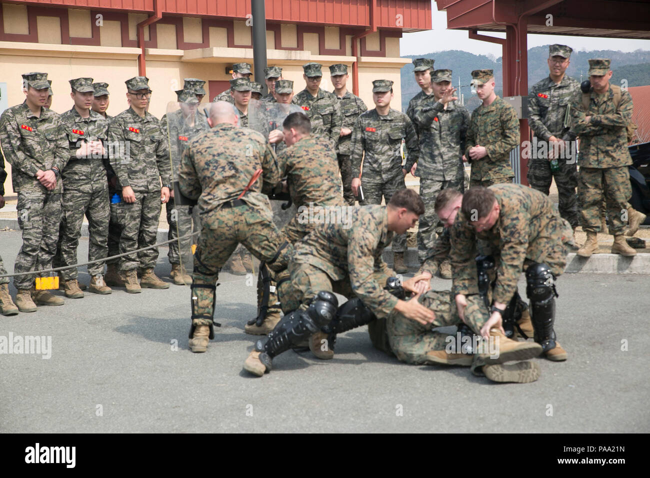 Republic Of Korea Marines Watch U S Marines With Company C