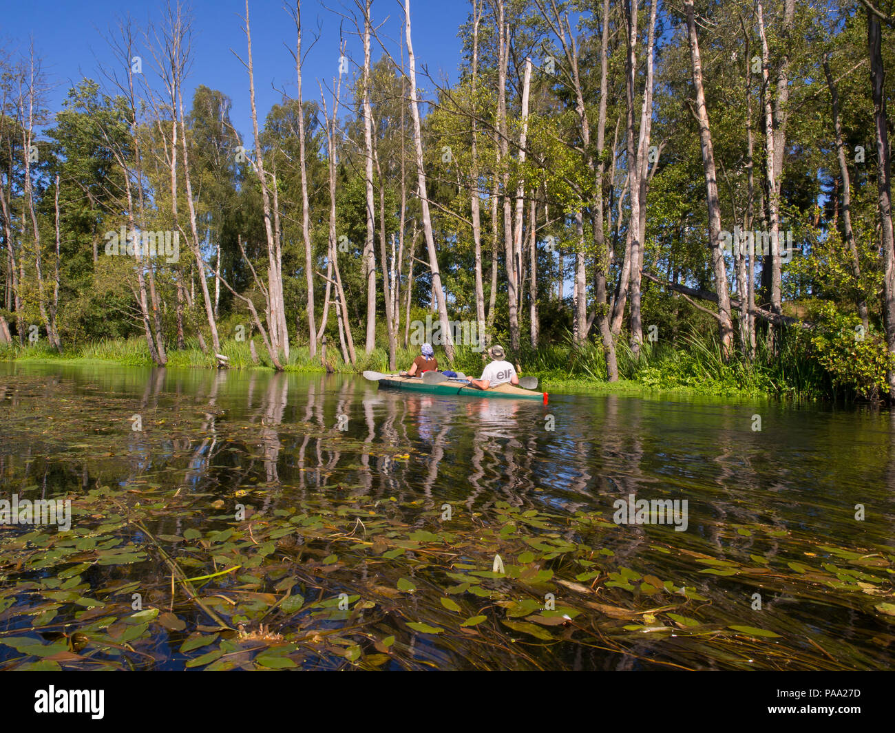 Shell Canoe Shell canoe hi-res stock photography and images - Alamy