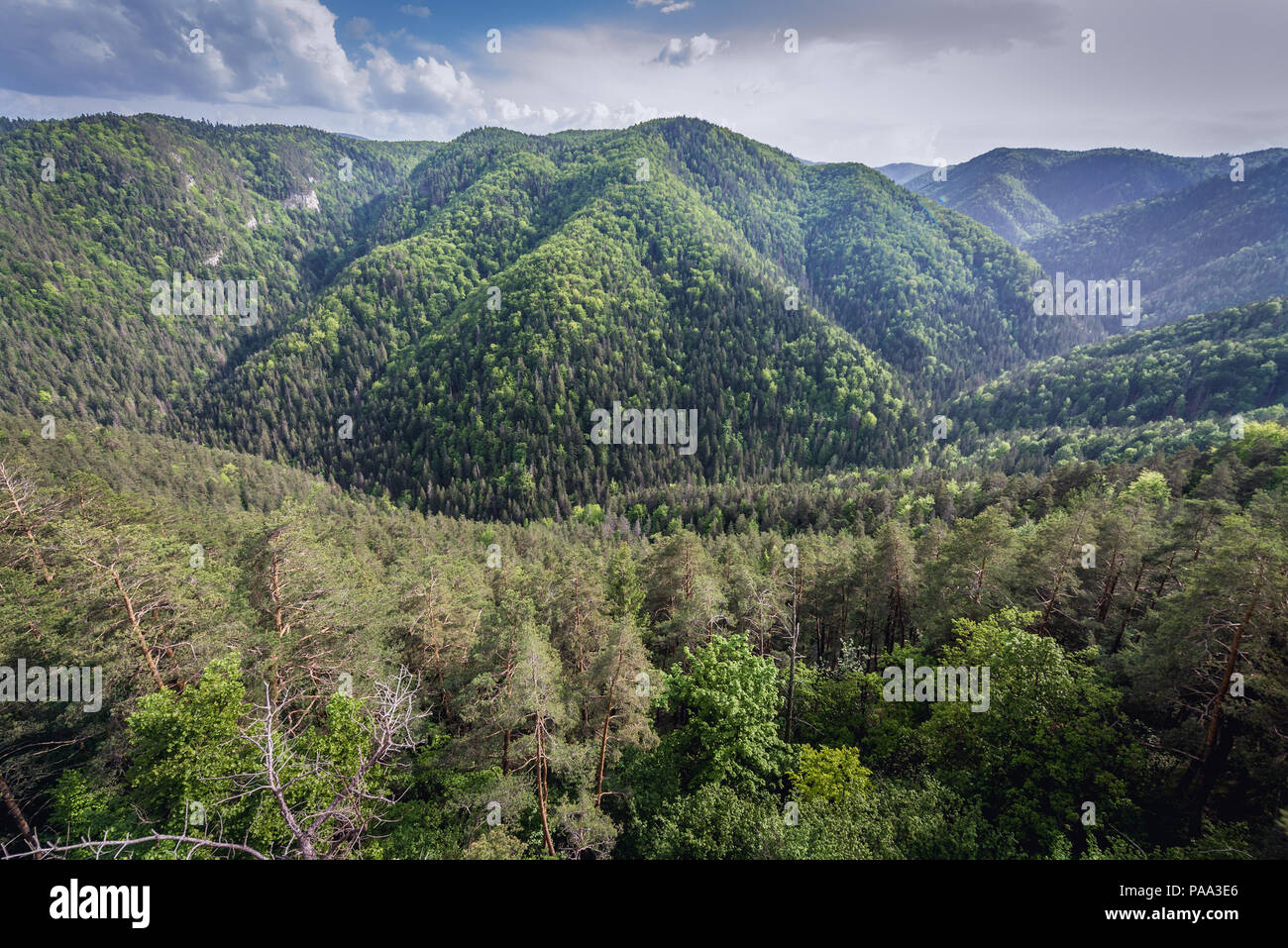 Aerial view from viewing point near Klastorisko area in Slovak Paradise, north part of Slovak Ore Mountains in Slovakia Stock Photo