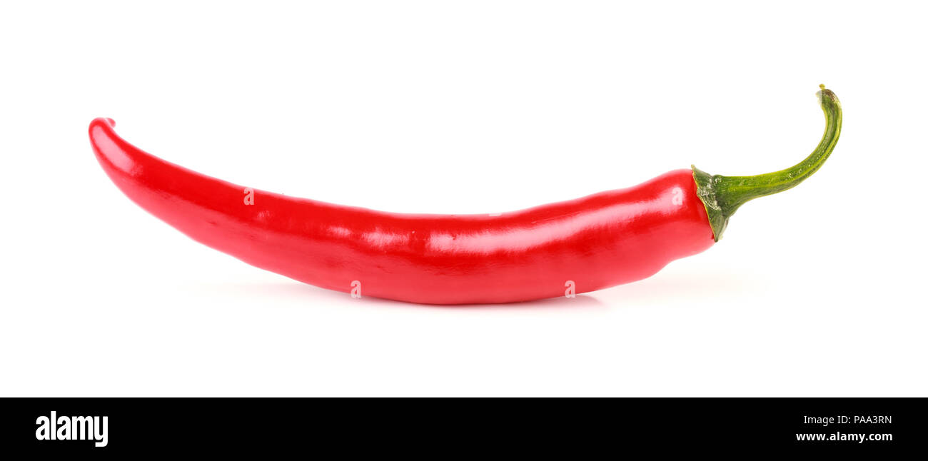 single red chili pepper isolated on white background Stock Photo