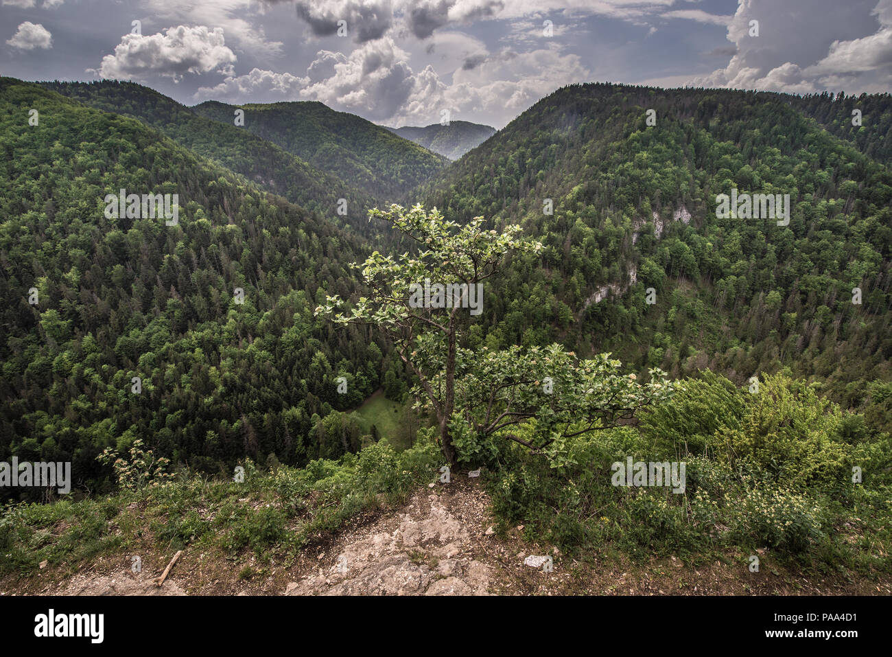 View from Tomasovsky Vyhlad viewing point on the left side of the Hornad River valley in Slovak Paradise National Park, Slovakia Stock Photo