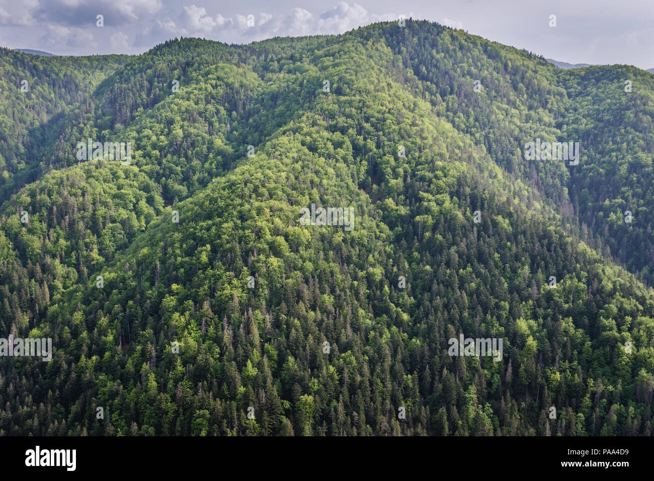 Aerial view from viewing point near Klastorisko area in Slovak Paradise, north part of Slovak Ore Mountains in Slovakia Stock Photo