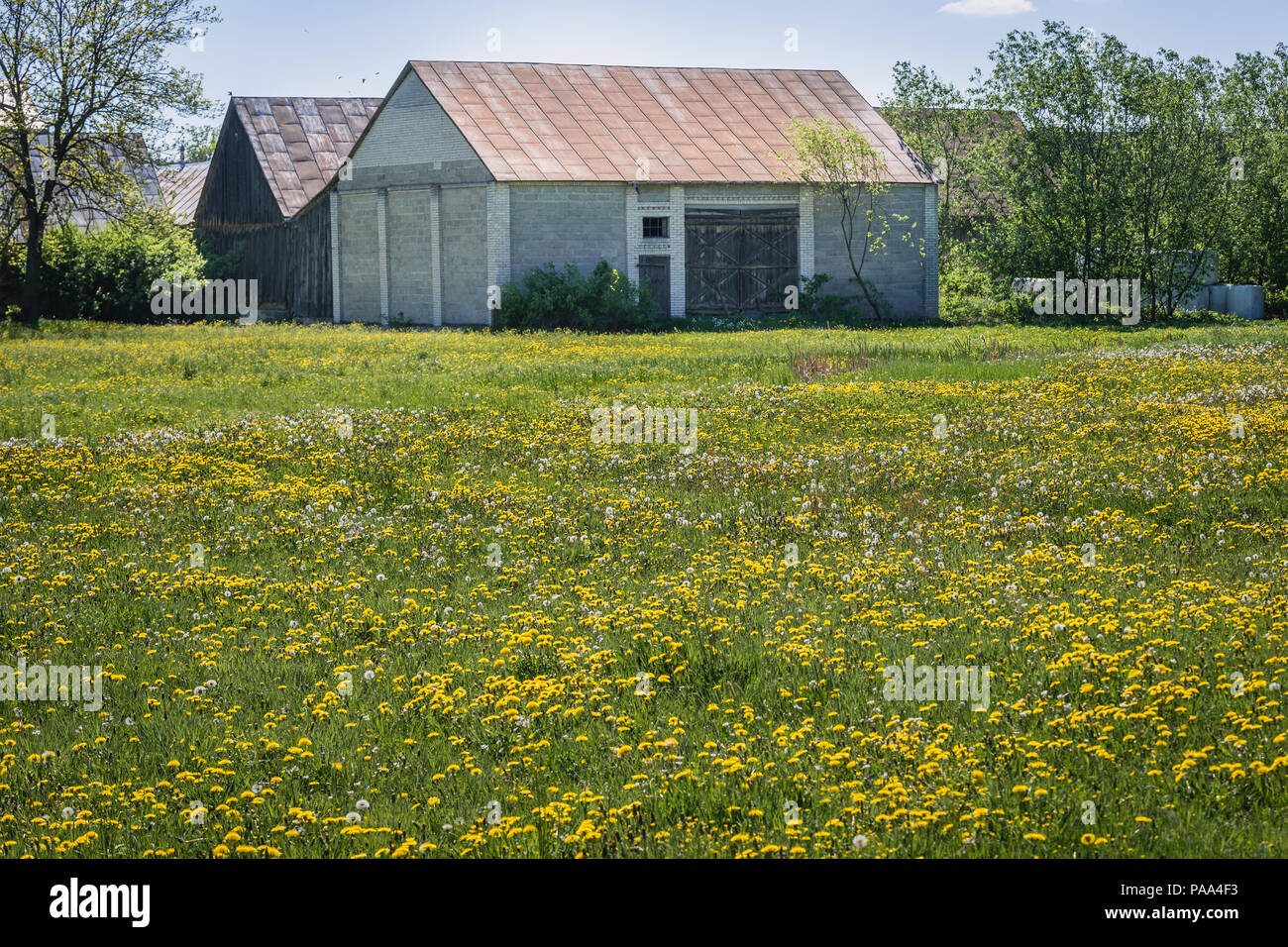 Barns in small village in Wegrow County, Masovia region, Poland Stock Photo