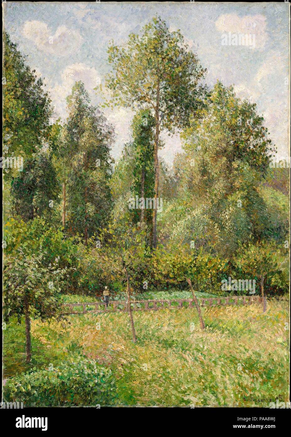 Poplars, Éragny. Artist: Camille Pissarro (French, Charlotte Amalie, Saint Thomas 1830-1903 Paris). Dimensions: 36 1/2 x 25 1/2 in. (92.7 x 64.8 cm). Date: 1895.  This canvas of summer 1895 shows a corner of Pissarro's garden at Éragny, a small village in northern France where he lived from 1884 until his death. Pissarro likely painted this view from his studio window, as a persistent eye ailment hampered him from working outdoors. The picture was among the works that Pissarro sold in November to the dealer Durand-Ruel, who included it in a major exhibition of the artist's work the following s Stock Photo