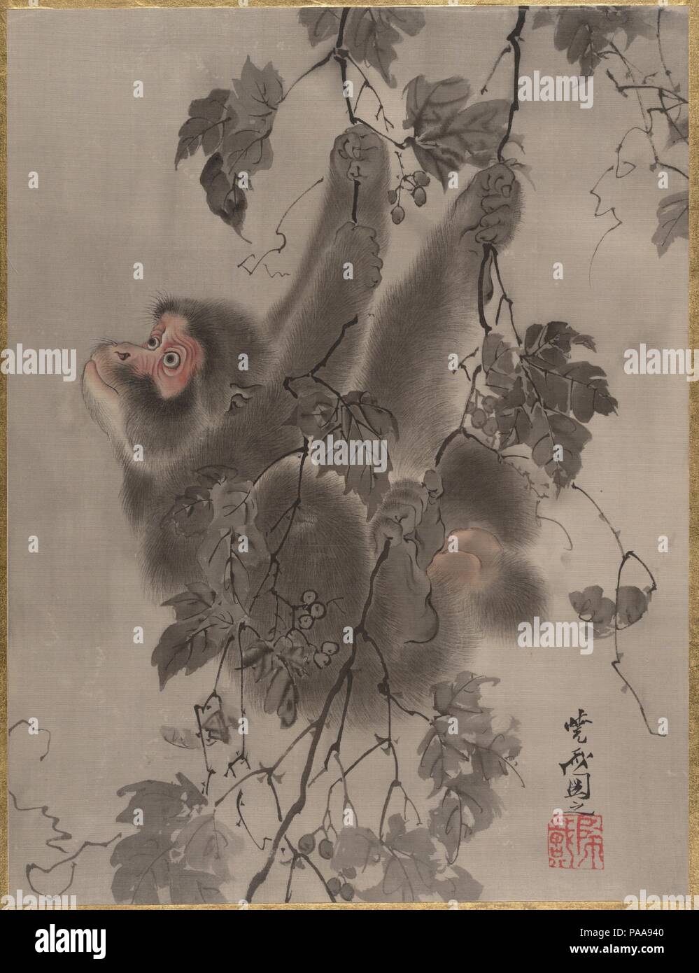 Monkey Hanging from Grapevines. Artist: Kawanabe Kyosai (Japanese, 1831-1889). Culture: Japan. Dimensions: 14 1/8 x 10 3/4 in. (35.9 x 27.3 cm). Date: ca. 1887. Museum: Metropolitan Museum of Art, New York, USA. Stock Photo