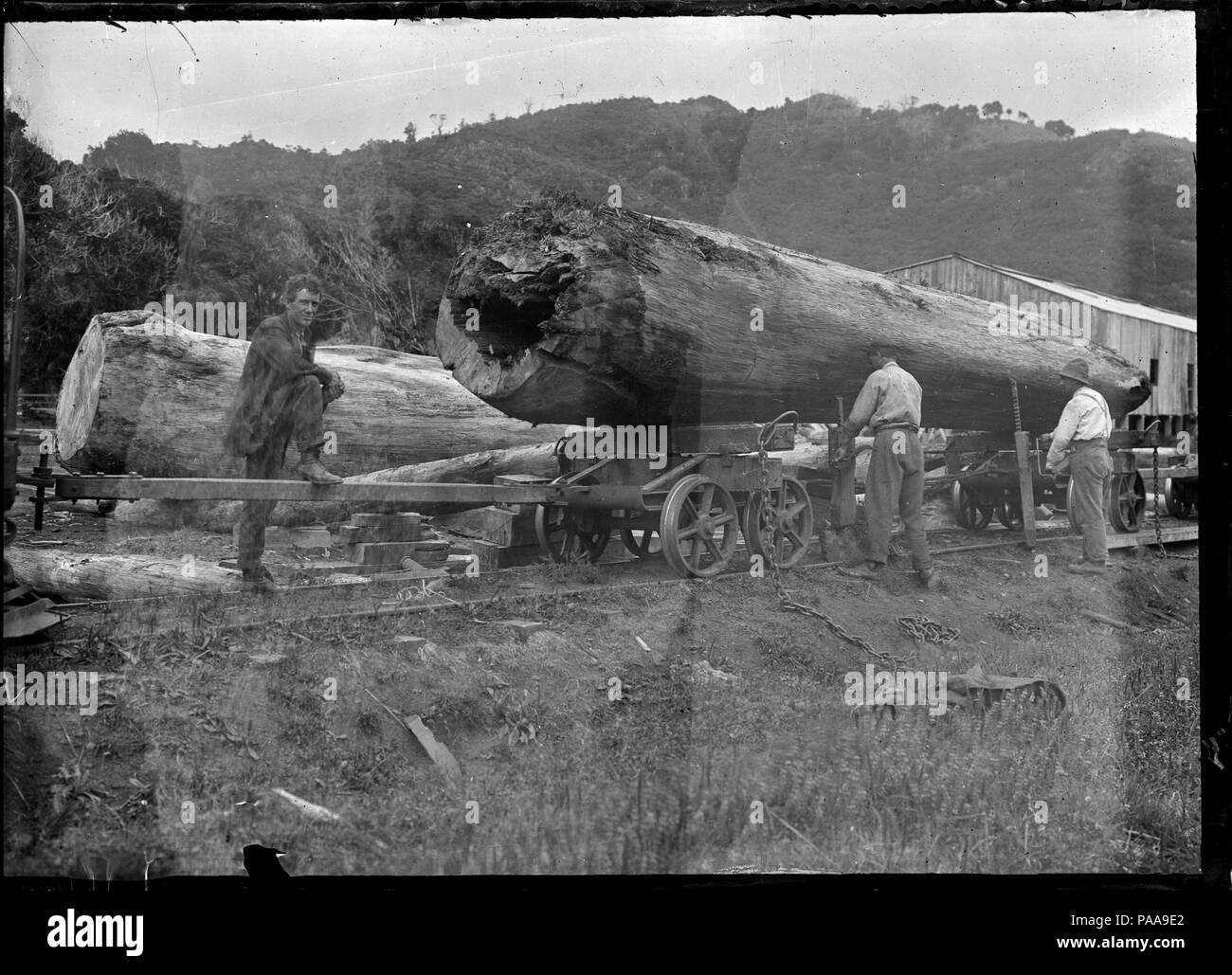 171 Men loading huge logs onto a railway wagon, on the railway track of the Piha to Karekare tramway. ATLIB 278505 Stock Photo