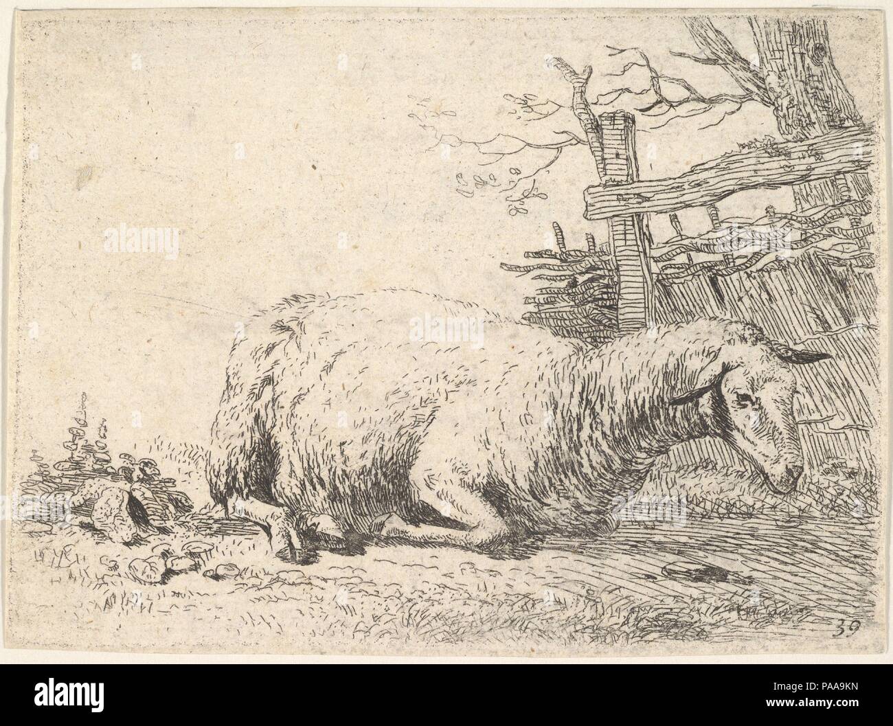 A sheep lying with its legs folded underneath its body next to a wooden fence, the sheep in profile view. Artist: Karel Dujardin (Dutch, Amsterdam 1622-1678 Venice). Dimensions: sheet: 3 x 4 1/8 in. (7.6 x 10.4 cm). Date: ca. 1655. Museum: Metropolitan Museum of Art, New York, USA. Stock Photo
