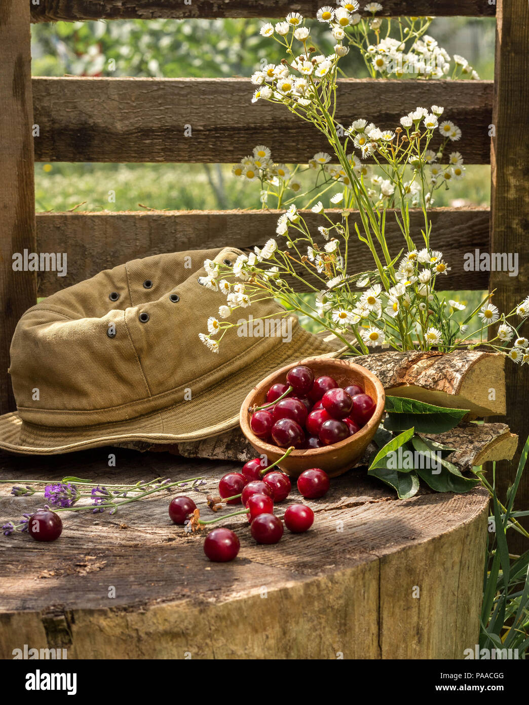 Cherries in a bowl lie on a stump next to a hat and flowers. Slow life. Stock Photo