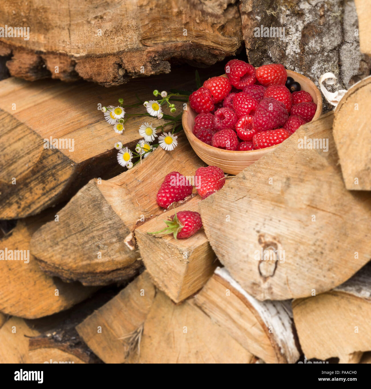 Raspberry berries lie on a bundle of firewood in the garden. Next to the berries lie chamomile flowers Stock Photo