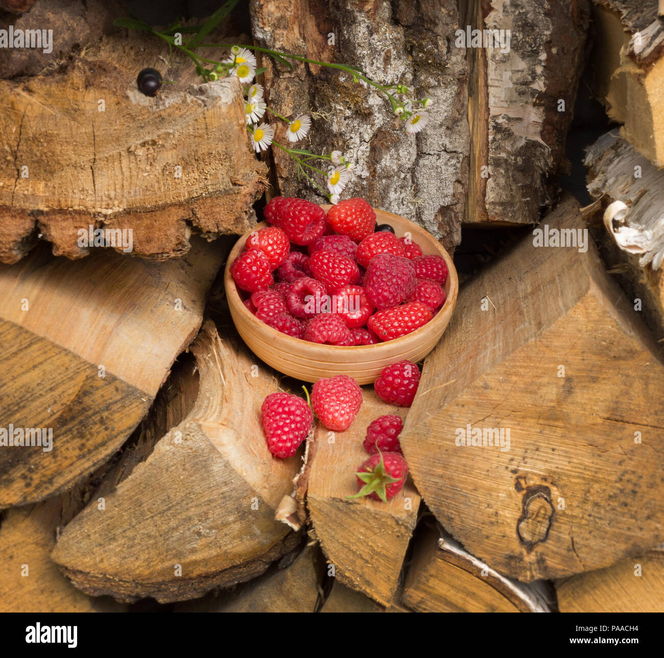 ripe raspberry in a clay bowl stands on birch firewood. A series of pictures Stock Photo