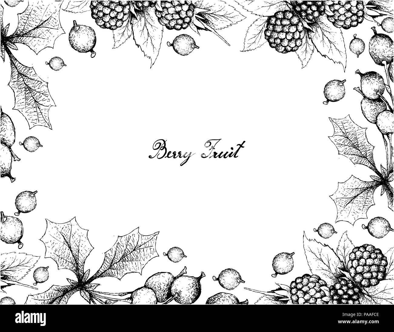 Berry Fruit, Illustration Frame of Hand Drawn Sketch of Fresh Dewberries and Barberries or Berberis Vulgaris Fruits Isolated on White Background. A Go Stock Vector