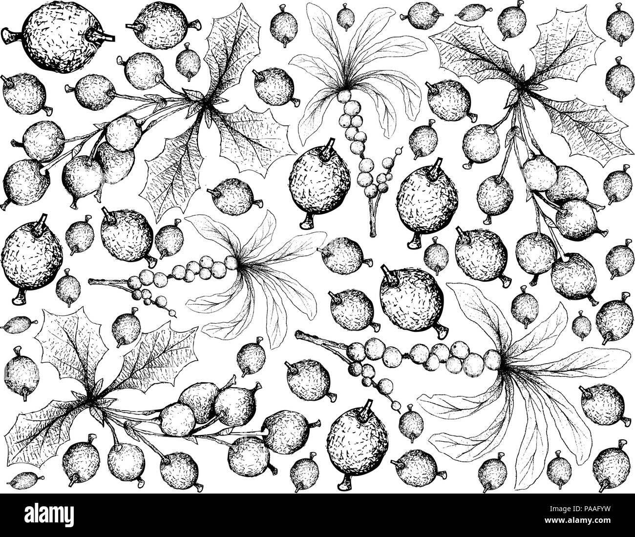 Berry Fruit, Illustration Wallpaper Background of Hand Drawn Sketch of Fresh February Daphne or Daphne Mezereum and Barberries or Berberis Vulgaris Fr Stock Vector