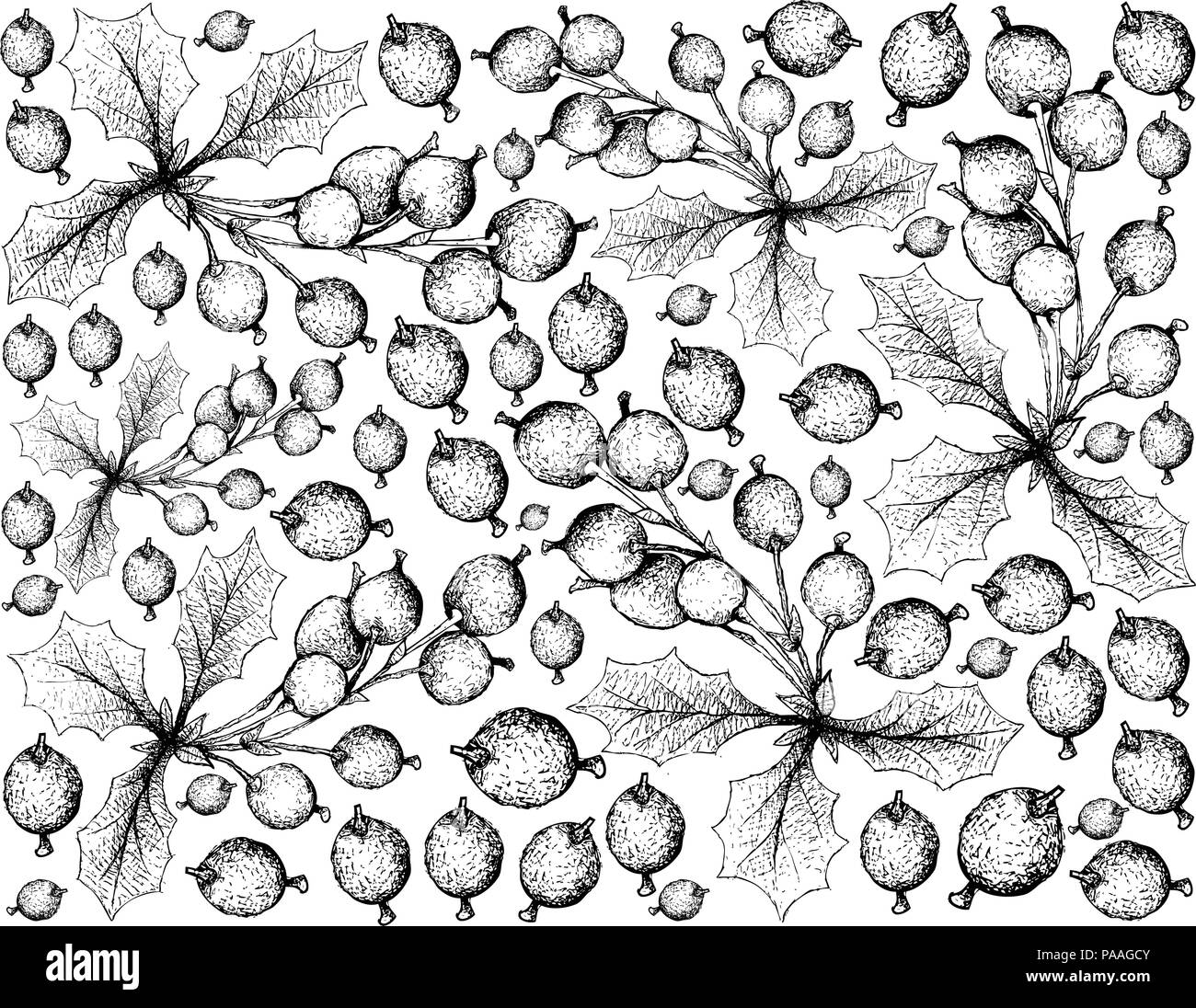 Berry Fruit, Illustration Wallpaper Hand Drawn Sketch of Fresh Barberries or Berberis Vulgaris Fruits Isolated on White Background. Stock Vector