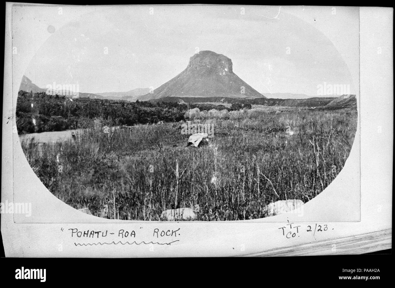202 Pohaturoa Rock, near Atiamuri, in timber milling area owned by the Taupo Totara Timber Company ATLIB 337337 Stock Photo