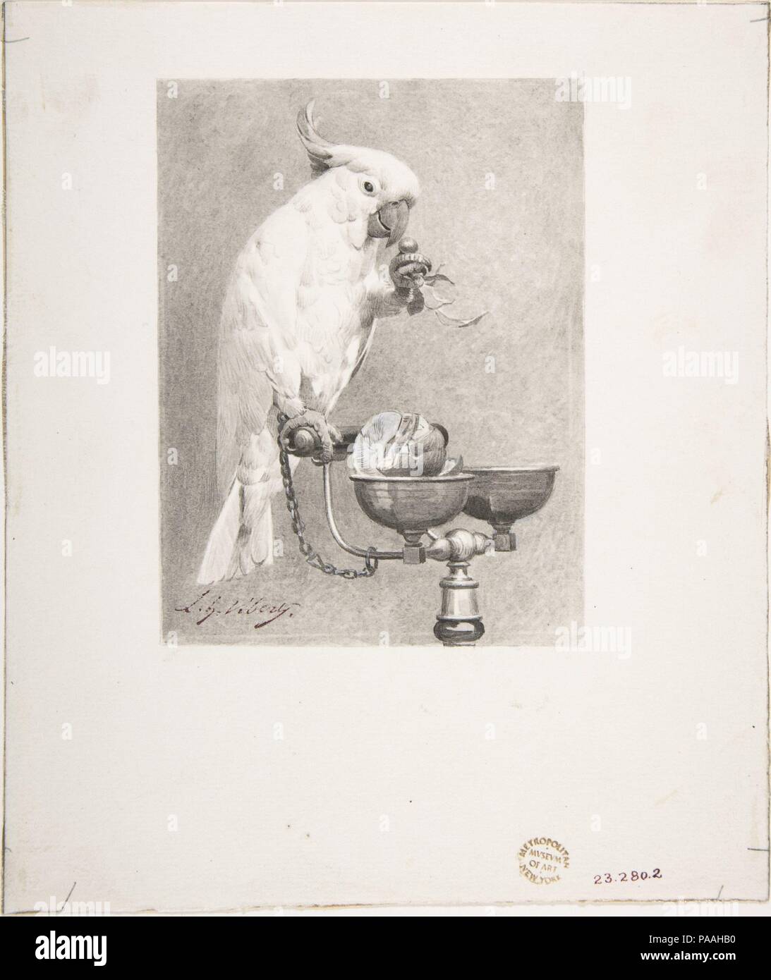 The Sedate Parrot. Artist: Jean-Georges Vibert (French, Paris 1840-1902 Paris). Dimensions: 7 15/16 x 6 7/16 in.  (20.2 x 16.4 cm). Date: n.d.. Museum: Metropolitan Museum of Art, New York, USA. Stock Photo