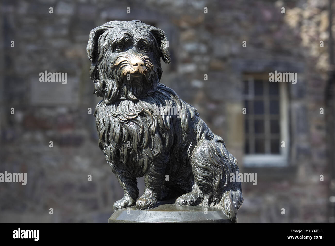 Greyfriars Bobby Statue, Edinburgh Scotland Stock Photo