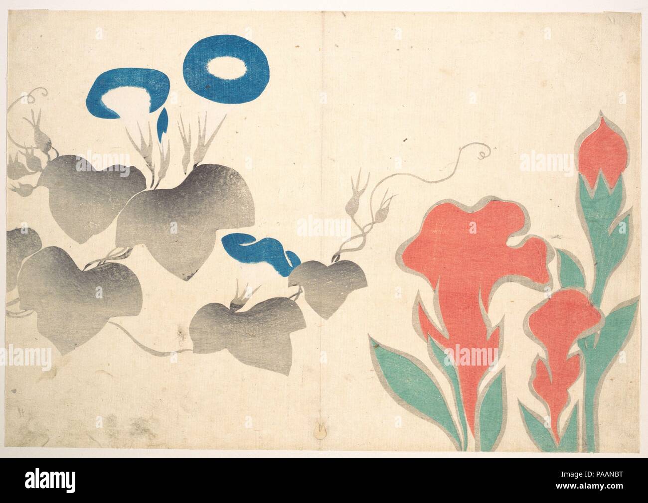 Design of Morningglory and Other Flowers. Artist Ogata Korin