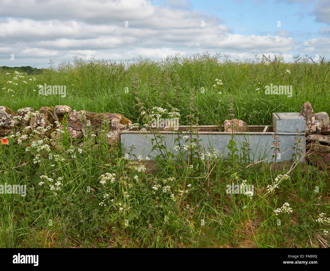 An old disused Galvanised metal Cattle Water Trough situated in a Dry