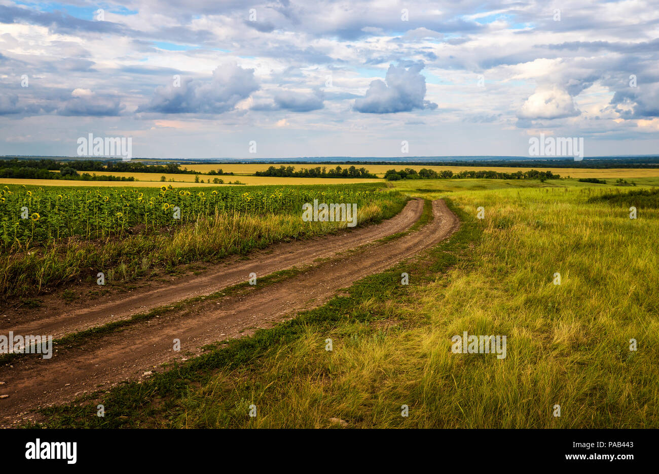 Landscape with country road in autumn fields Stock Photo